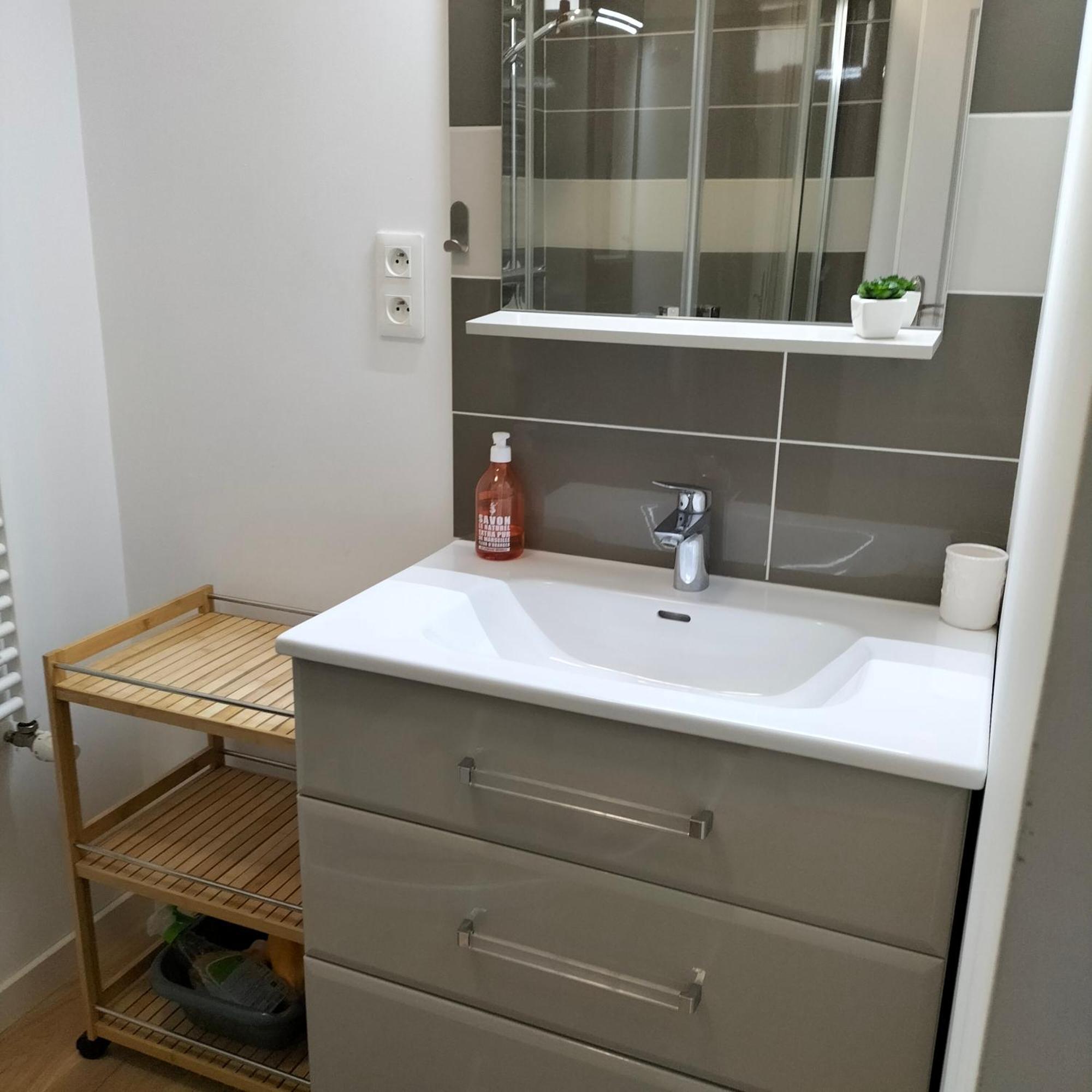 Appartement Salamandre 올리언스 외부 사진