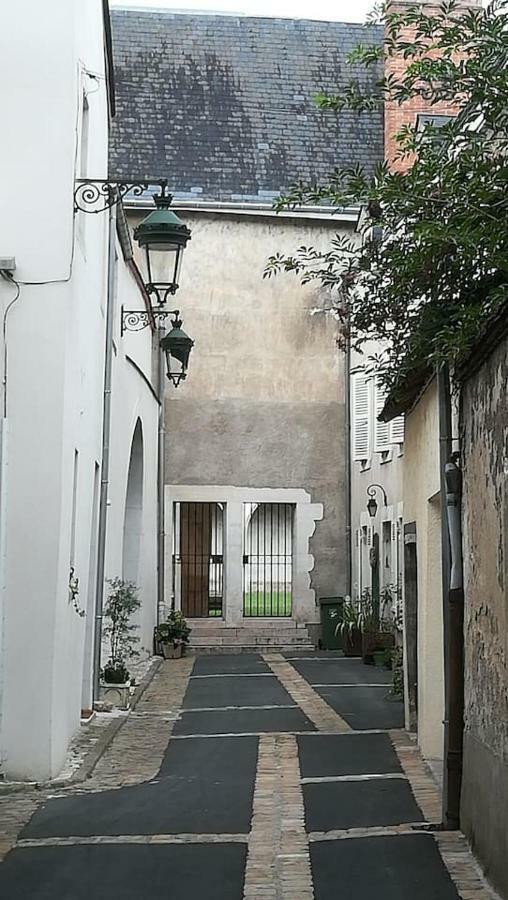 Appartement Salamandre 올리언스 외부 사진